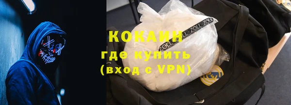 дживик Навашино