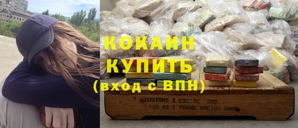 дживик Навашино